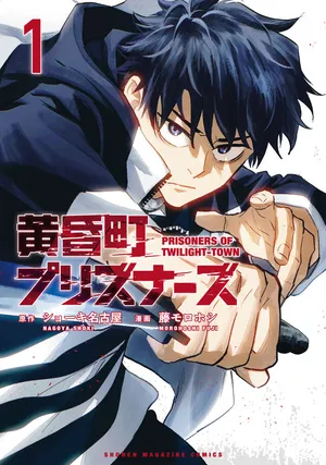 Prisoners of Twilight-Town